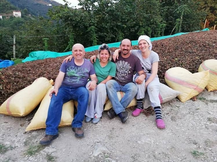 Fındık üreticileri harmanda
