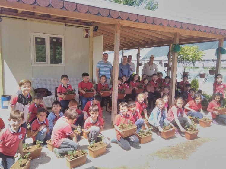 Minik öğrenciler çilek dikti