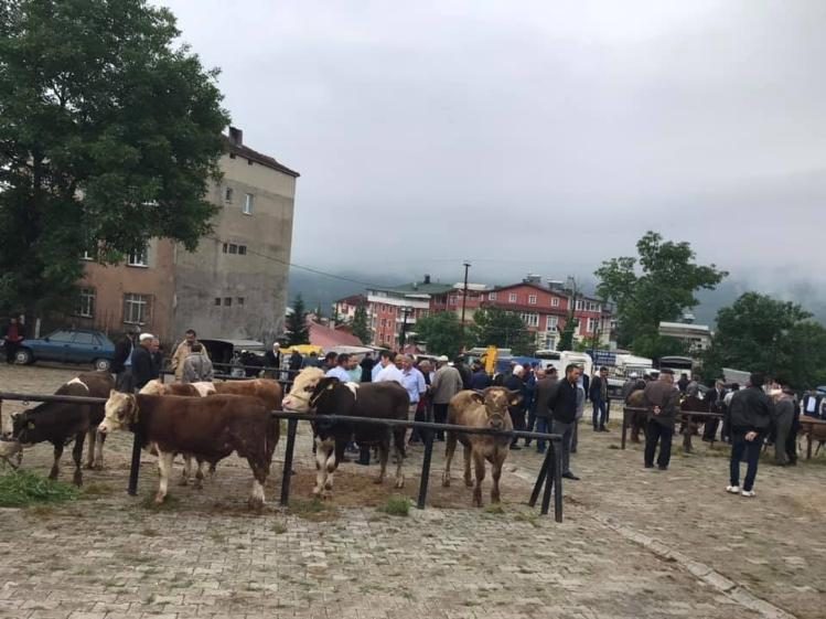 Hayvan pazarında sessiz bekleyiş hakim