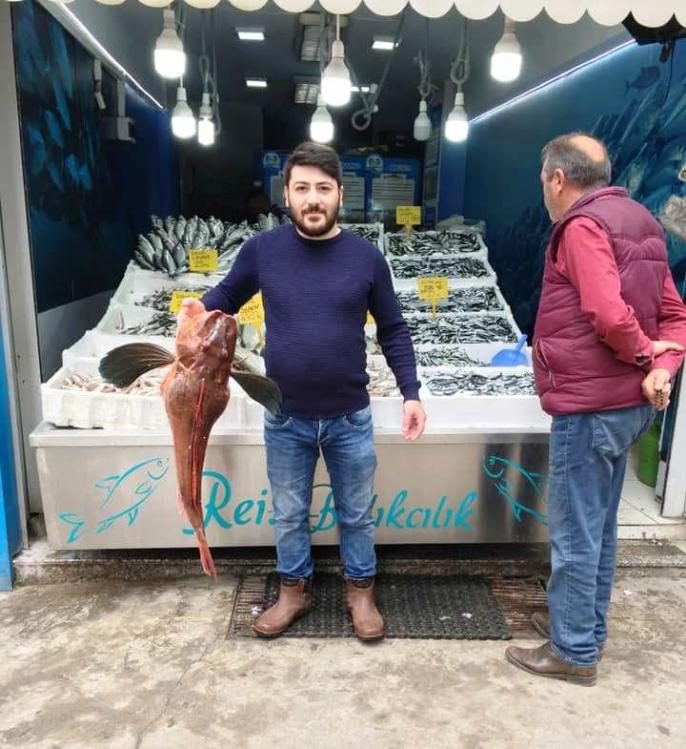 Yıllar sonra ağlara takılan kırlangıç balığı şaşırttı