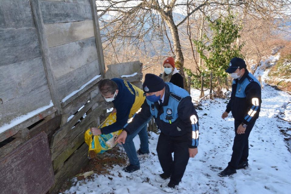Fatsa belediyesi doğaya, kuşlar için yem, sokak hayvanları için mama bıraktı
