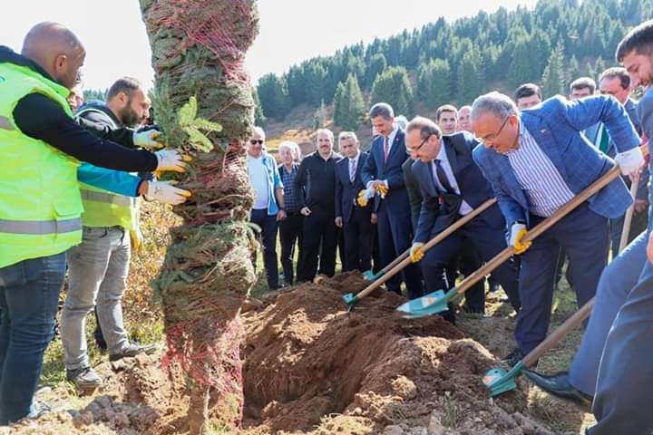 Vali Yavuz, Ağaç Dikme Töreni’ne Katıldı