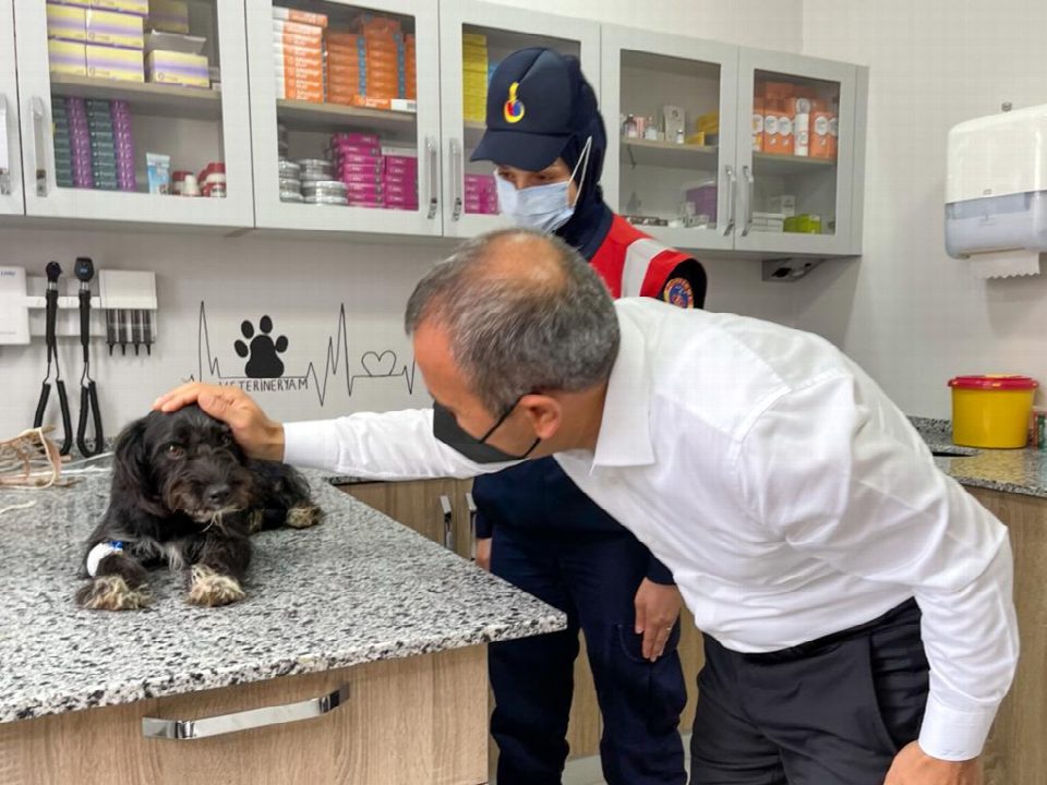 Can dostumuza Vali Sonel sahip çıktı