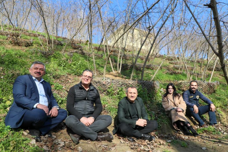 Vali Sonel, fındık üretiminde verimi ve kaliteyi artırma çalışmalarını yerinde inceledi
