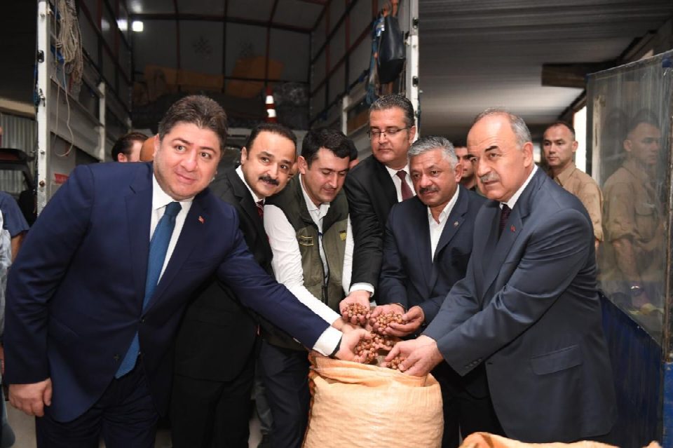 TMO fındık alımına başladı