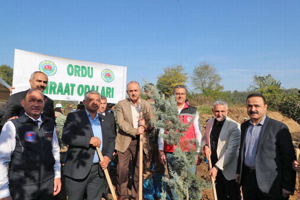 100. Yıl Cumhuriyet ormanı fidan dikimi etkinliği yapıldı
