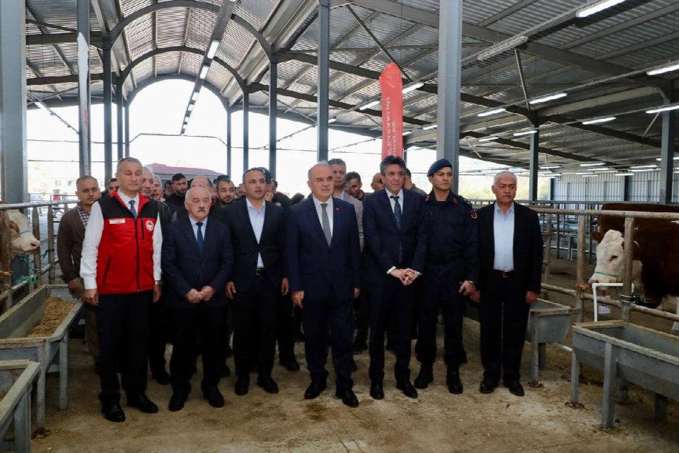 TULIP Projesi Kapsamında Gebe Simental Düve Dağıtım Yapıldı