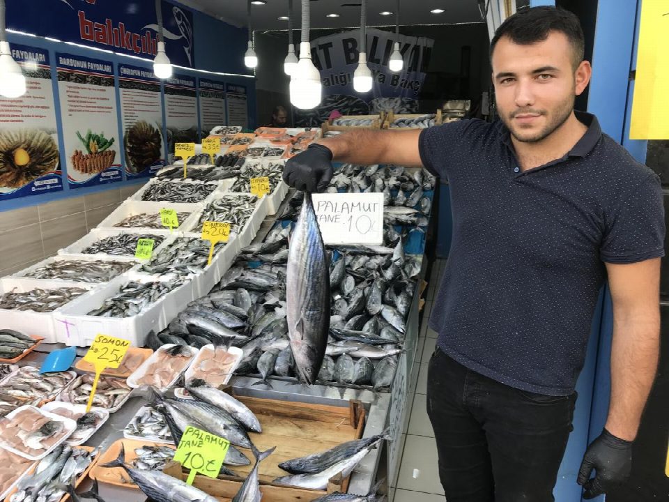 Tezgahlarda Balık Bolluğu