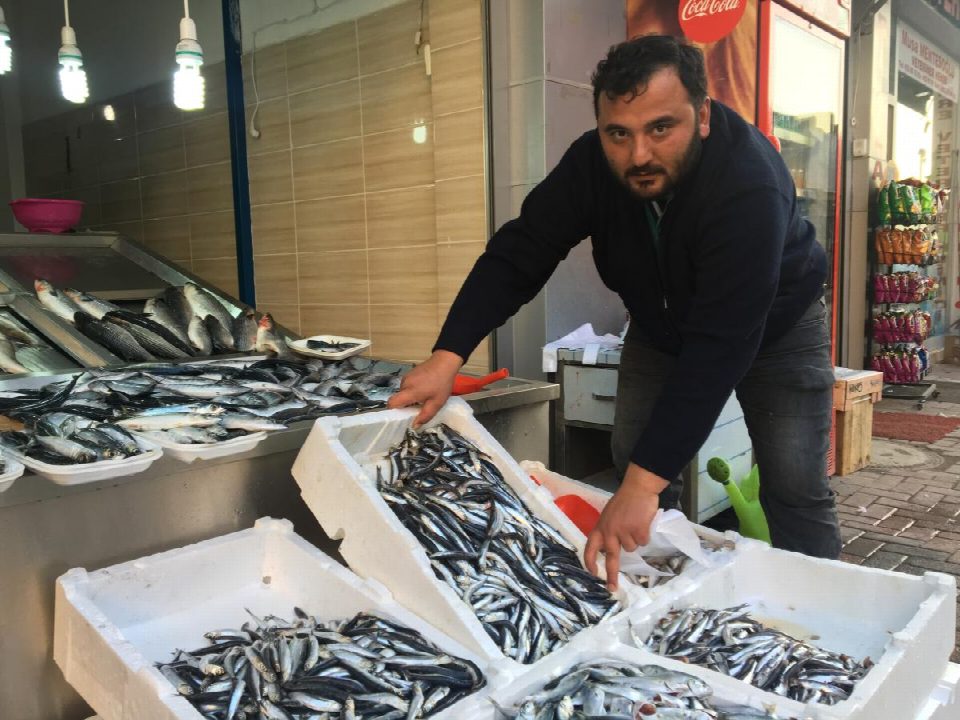 Hamsi tavan yaptı: 20 TL