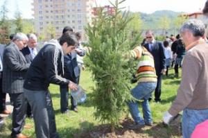 22 Okulun Bahçesine 1000 Adet Ağaç Fidanı Dikildi