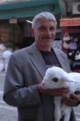 EVİNDE KUZU BESLİYOR