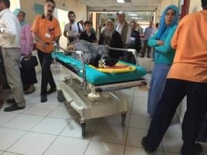 ÜZÜM YAPRAĞI TOPLARKEN AĞAÇTAN DÜŞTÜLER