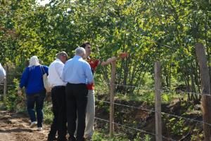 Araplar Türk fındığına hayran kaldı