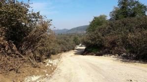 FATSA’DA 40 YILLIK YOL SORUNU ÇÖZÜLDÜ