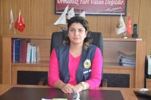 - Fatsa’da orman yollarındaki tahribat giderildi