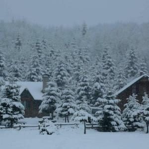 Ordu’da kara kış