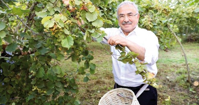 Başkan Hilmi Güler: “45 milyon cebe girecek!
