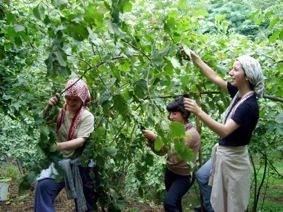TÜCCARLAR ÜRETİCİLERİN KAPISINDA