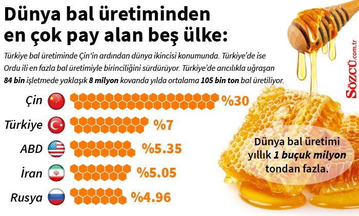 Türkiye bal üretiminde dünya ikincisi