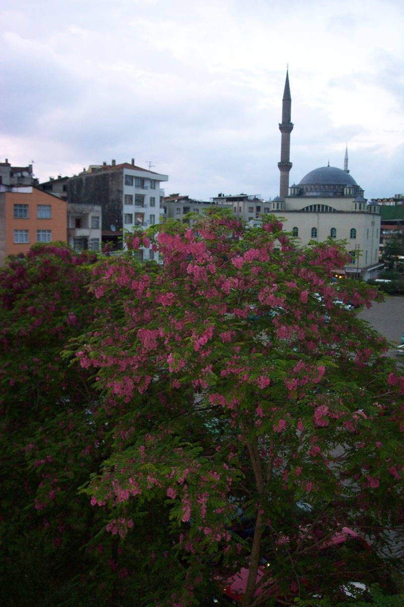 Fatsa’da merhum din görevlileri için kur’an tilaveti... 23 Mart’taki programa bütün vatandaşlar davetli...
