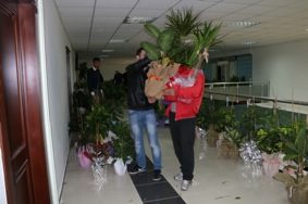 Çiçekler, Engellileri Sevindirecek