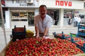 Yerli çilekler tezgâhları süslüyor