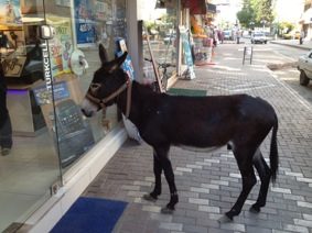 Fatsalı Esnaflara Davetsiz Misafir