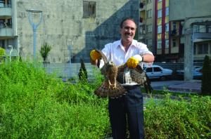 YARALI ŞAHİN'İ KEDİLERİN ELİNDEN KURTARDI