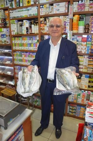 İstanbul'dan Fatsa'ya lüfer geldi