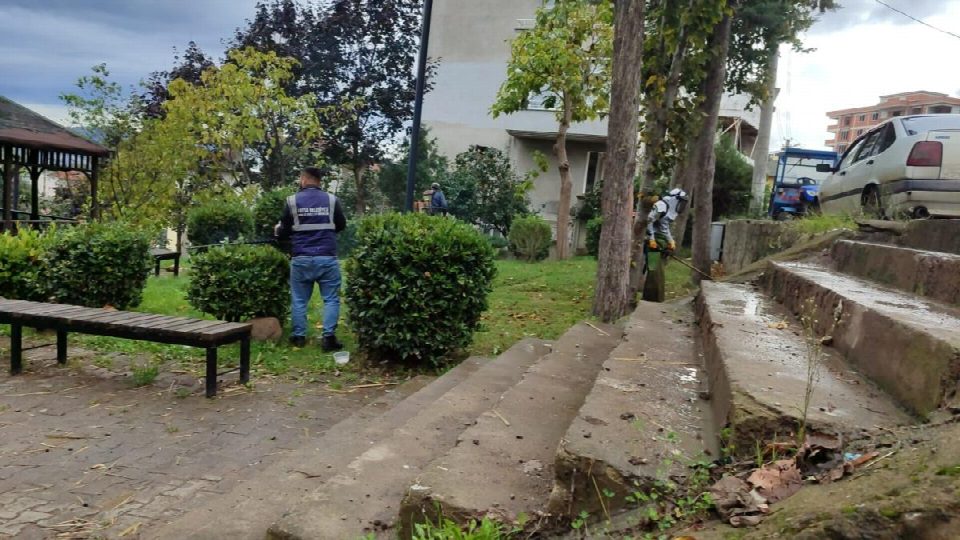 FATSA’NIN YEŞİL ALANLARI İÇİN YOĞUN ÇALIŞMALAR SÜRÜYOR
