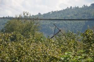 YIKILMAK ÜZERE OLAN AHŞAP ELEKTRİK DİREĞİ TEHLİKE SAÇIYOR