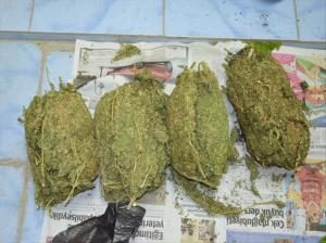 43 KİLOGRAM KUBAR ESRAR ELE GEÇİRİLDİ