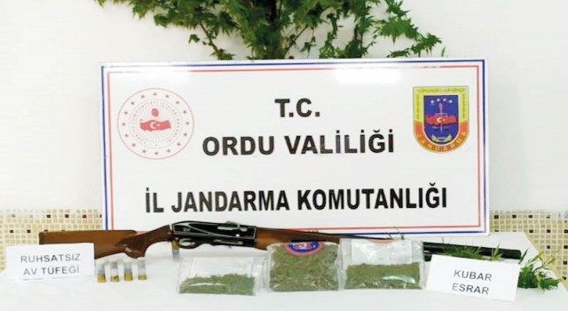 Fatsa’da uyuşturucu operasyonunda 2 kişi gözaltına alındı