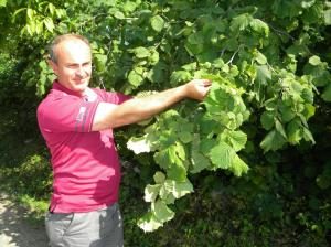 Fındık’ta erken hasat ihtimali…