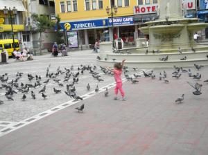 Fatsalılar güvercinlerine sahip çıkıyor