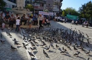 GÜVERCİNLERİ BESLİYORLAR....