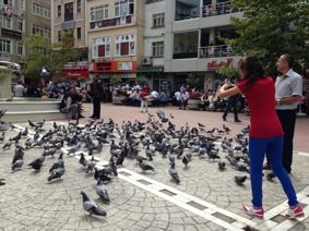 Güvercinlerle stres Atıyorlar