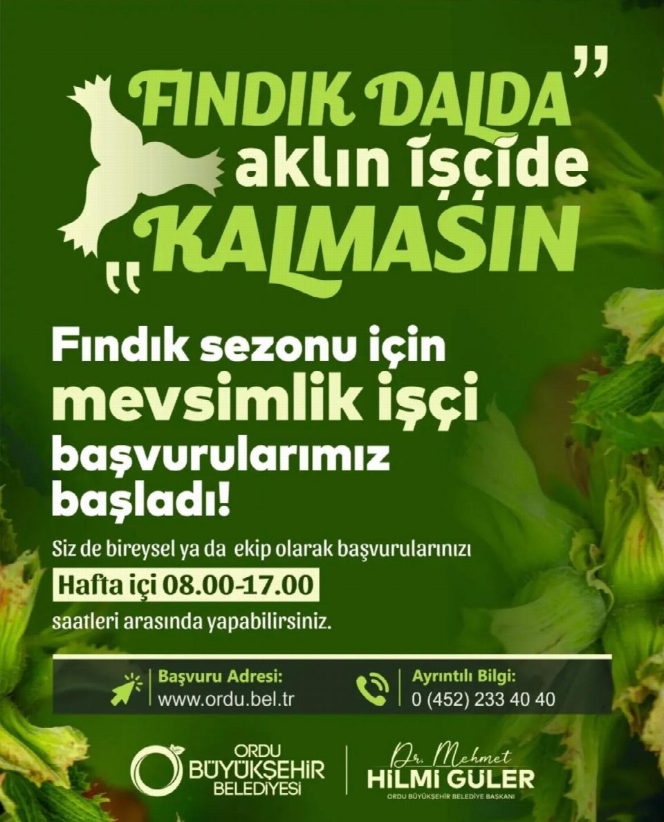 Üretici ve işçi aracısız bir araya geliyor... “Fındık dalda, aklın işçide kalmasın” başvurular başladı
