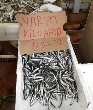 Hamsi El Yakıyor