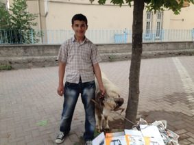 Kayıp Koyunu Oyun Oynayan Çocuk Buldu