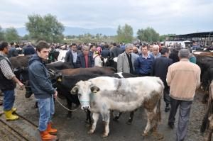Kurban Bayramı Öncesi Et fiyatlarındaHareketlilik Yok