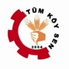 Tüm Köy Sen: “Fındık fiyatı yükselecek”