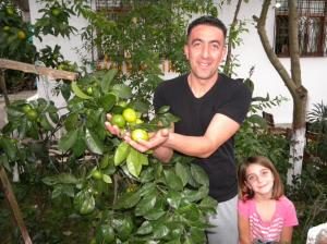 Mandalina bölgemizde yetişmeye başladı
