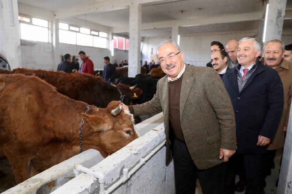 TÜRKİYE’DE İLK OLMA ÖZELLİĞİNE SAHİP PROJE MEYVELERİNİ VERDİ