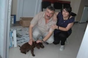 MİNİK KÖPEK İŞ YERİNDE BÜYÜYOR