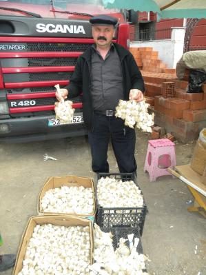 Mucize Sebze Sarımsak