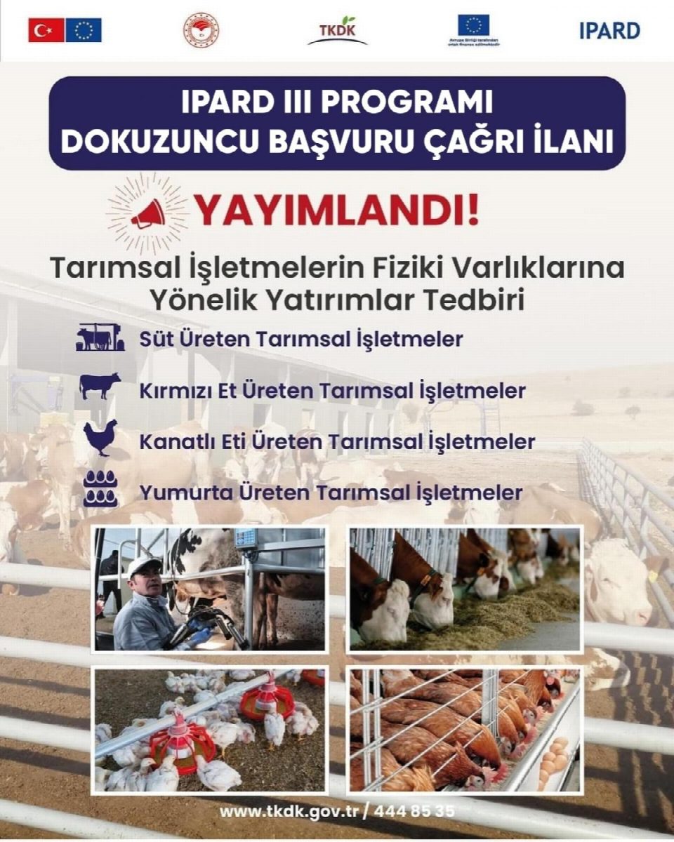 TKDK Dokuzuncu başvuru çağrı ilanına çıktı