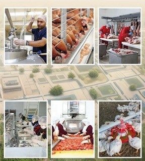 2025 yılında TKDK 80 yatırıma destek sağladı