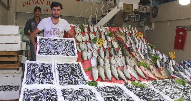 Hamsi sezonu açıldı, fiyatlar şuan için pahallı