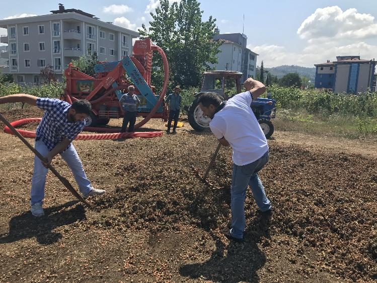 ÜRETİCİ FINDIK FİYATINA TEPKİLİ